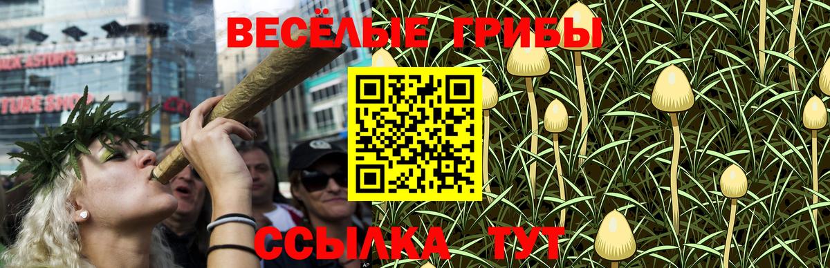 Псилоцибиновые грибы GOLDEN TEACHER Полевской