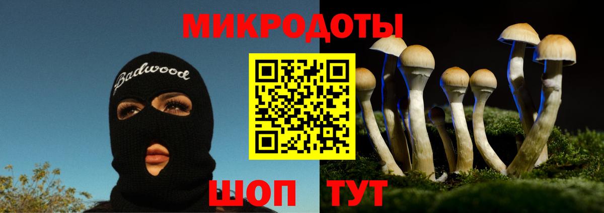 Полевской  Псилоцибиновые грибы Psilocybine cubensis  Псилоцибиновые грибы прущие грибы  Вход с VPN 